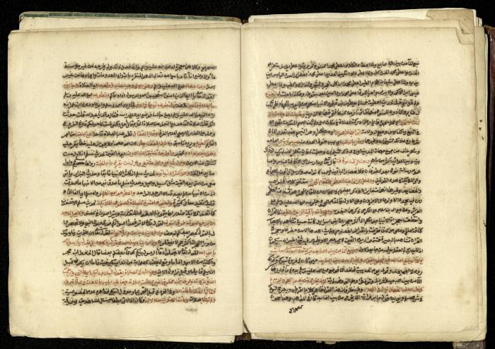 كتاب في شرح وتوضيح أحكام الصلاة والوضوء وفقًا لأحكام الشريعة الاسلامية، القرن التاسع عشر 