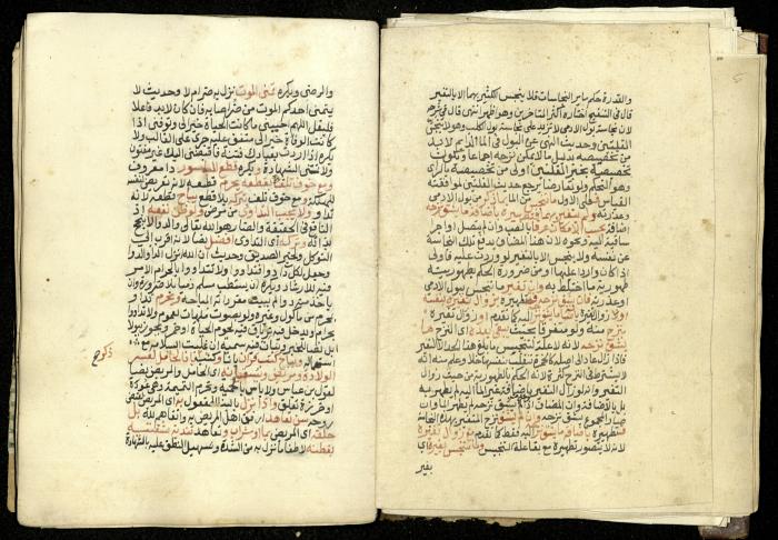 كتاب في شرح وتوضيح أحكام الصلاة والوضوء وفقًا لأحكام الشريعة الاسلامية، القرن التاسع عشر 