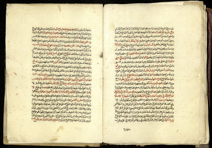 كتاب في شرح وتوضيح أحكام الصلاة والوضوء وفقًا لأحكام الشريعة الاسلامية، القرن التاسع عشر 