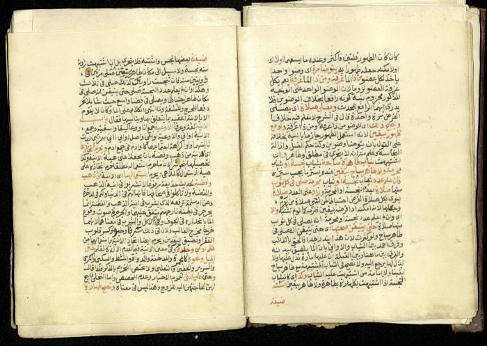 كتاب في شرح وتوضيح أحكام الصلاة والوضوء وفقًا لأحكام الشريعة الاسلامية، القرن التاسع عشر 