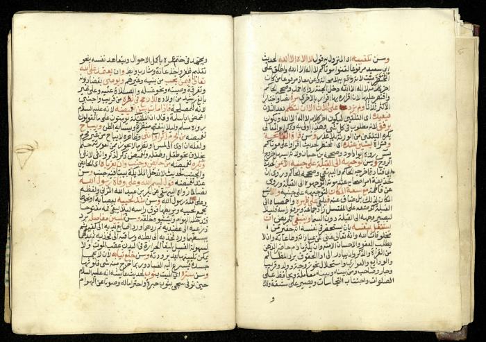 كتاب في شرح وتوضيح أحكام الصلاة والوضوء وفقًا لأحكام الشريعة الاسلامية، القرن التاسع عشر 
