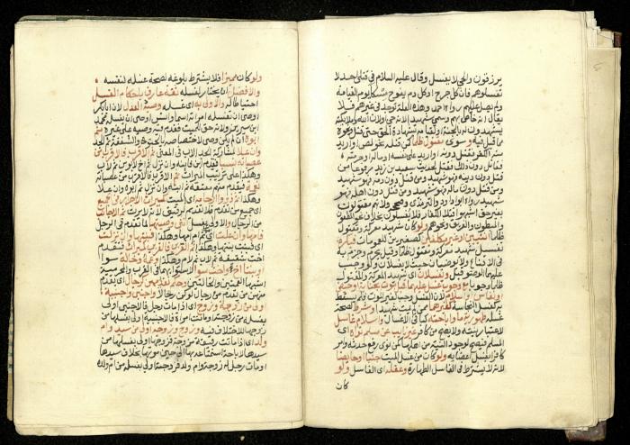 كتاب في شرح وتوضيح أحكام الصلاة والوضوء وفقًا لأحكام الشريعة الاسلامية، القرن التاسع عشر 