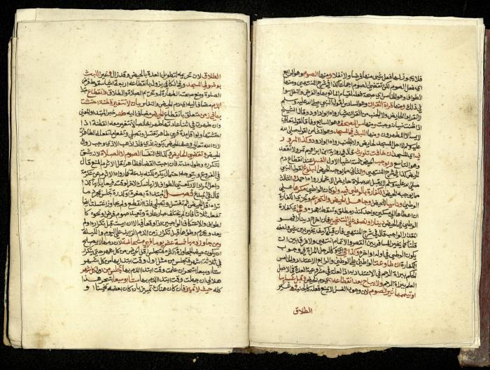 كتاب في شرح وتوضيح أحكام الصلاة والوضوء وفقًا لأحكام الشريعة الاسلامية، القرن التاسع عشر 