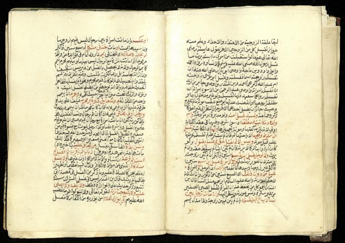 كتاب في شرح وتوضيح أحكام الصلاة والوضوء وفقًا لأحكام الشريعة الاسلامية، القرن التاسع عشر 