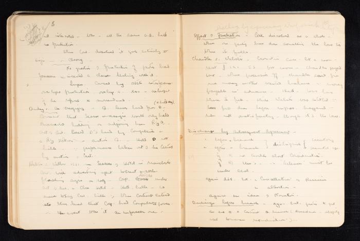 Anwar Nusseibeh's Notebook, Cambridge, October 1933