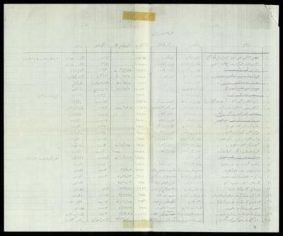 "Auditors", a List of Names, 1980-1982 