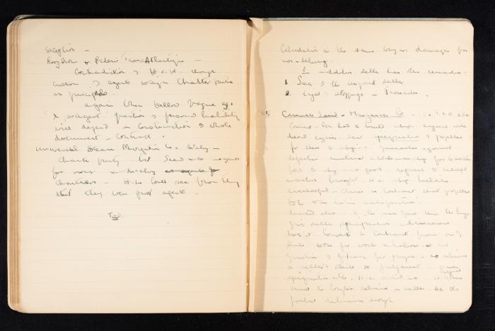 Anwar Nusseibeh's Notebook, Cambridge, October 1933