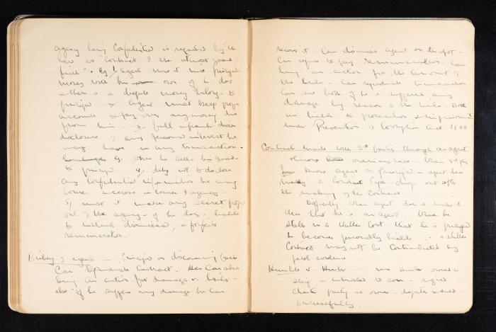 Anwar Nusseibeh's Notebook, Cambridge, October 1933