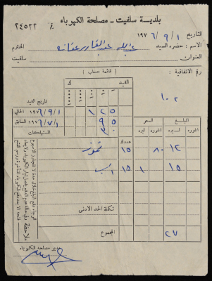 Electricity Undertaking Account Report