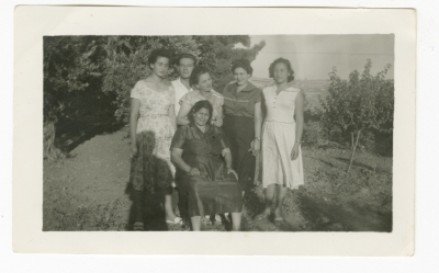 Relatives from Khalaf Family in Nature 