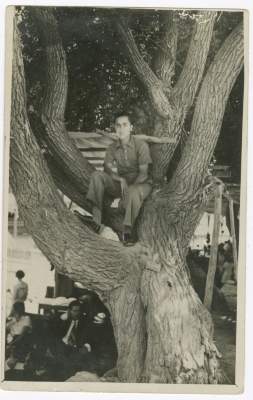 A Man Sitting on a Tree