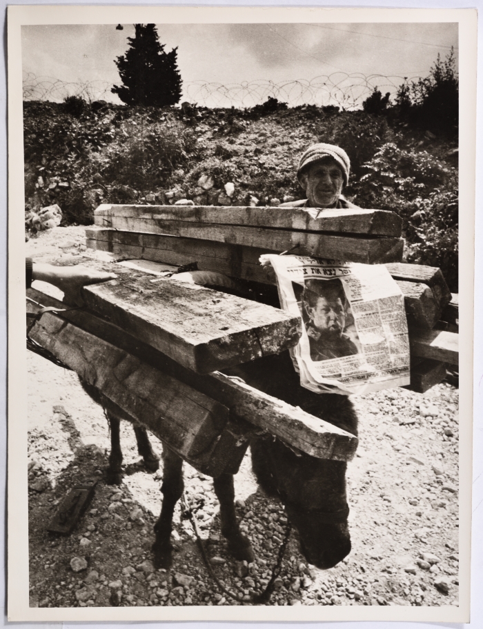 An Elderly Moving Wood After the Invasion of Southern Lebanon 