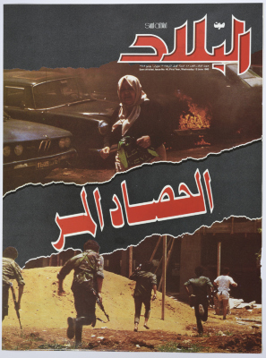 Casualties of the War of the Camps in Lebanon 