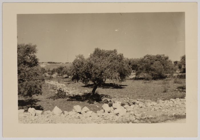 The Evangelical Home and School Location in Ramallah