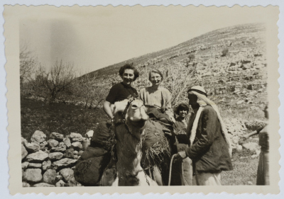 Gladys Thomas, a Supervisor at the Evangelical Home and School in Ramallah Rides a Camel