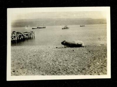 The Dead Sea, the 1920s 