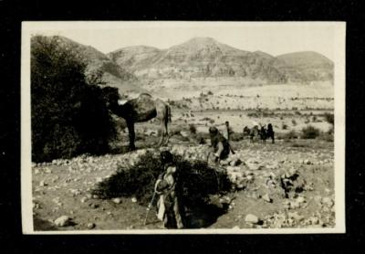 Daily Life of Palestinian Bedouins, the 1920s