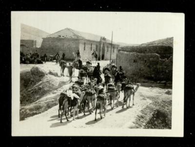 A Caravan of Camels Led by Palestinian Bedouins, the 1920s