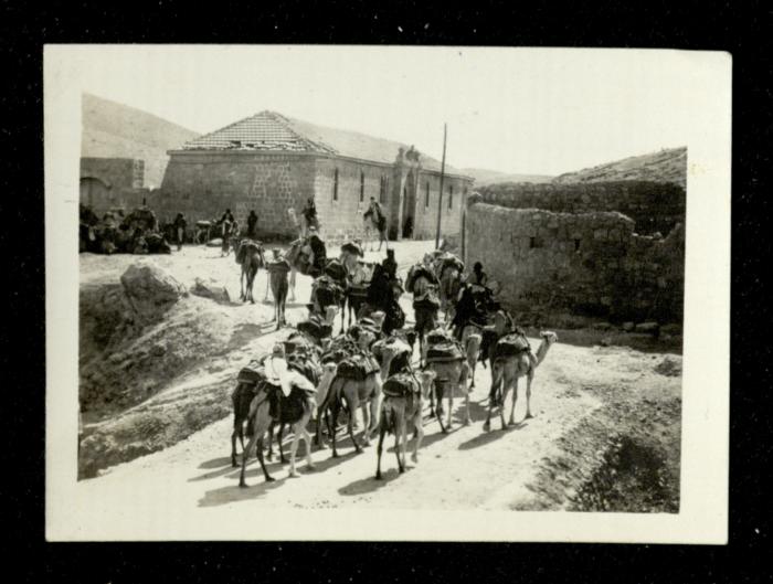 A Caravan of Camels Led by Palestinian Bedouins, the 1920s