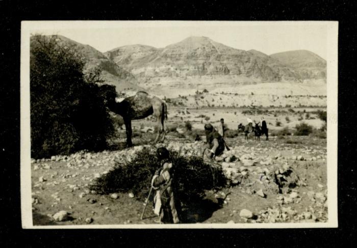 Daily Life of Palestinian Bedouins, the 1920s