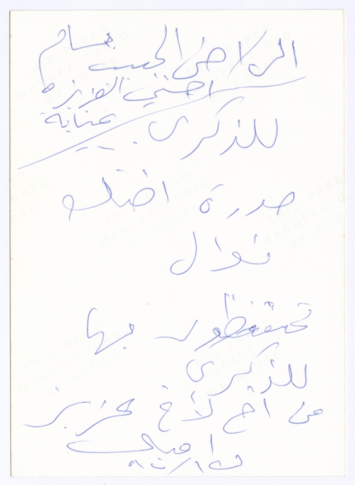 A Portrait of Nawal Toubassi 