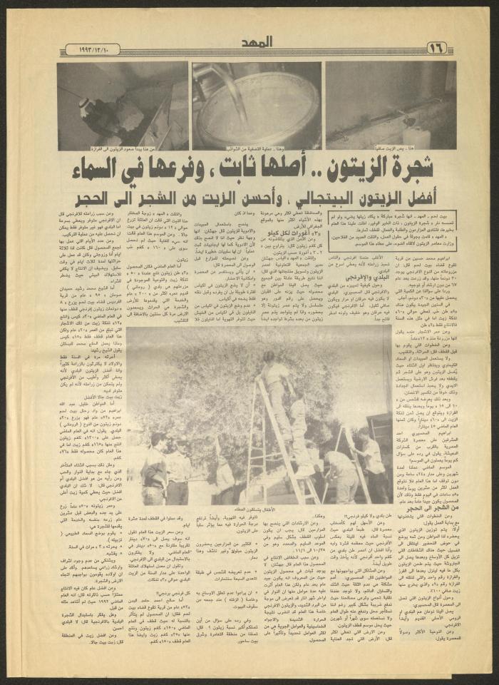 An Issue of al-Mahd Newspaper, 10 December 1993 
