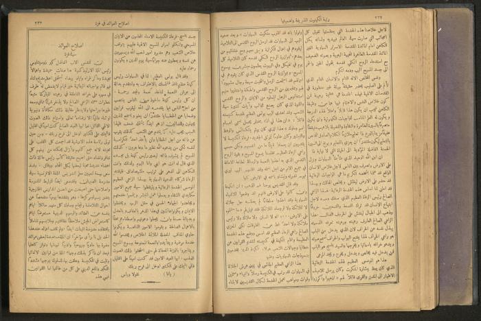 Issues of al-Manar Weekly newspaper, 1900-1901