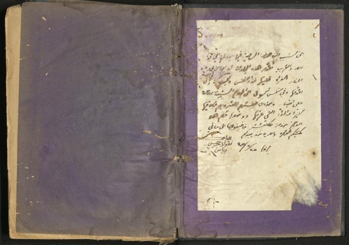 Issues of al-Manar Weekly newspaper, 1900-1901