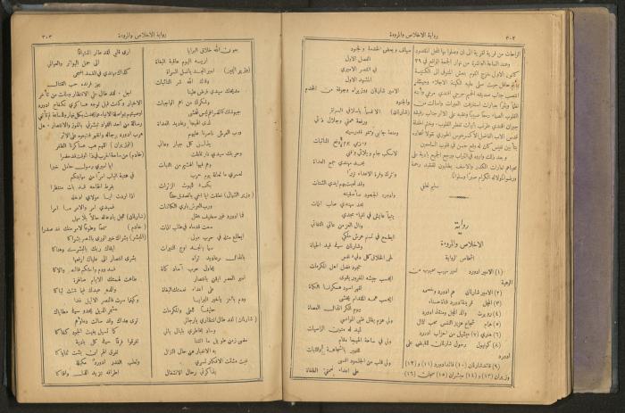 Issues of al-Manar Weekly newspaper, 1900-1901
