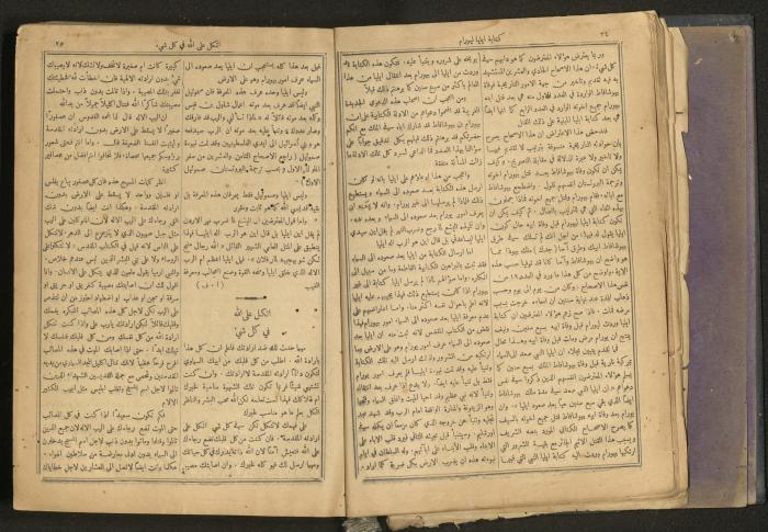 Issues of al-Manar Weekly newspaper, 1900-1901