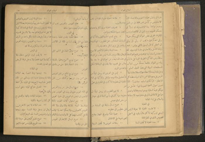 Issues of al-Manar Weekly newspaper, 1900-1901