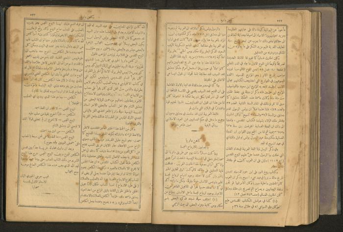 Issues of al-Manar Weekly newspaper, 1900-1901