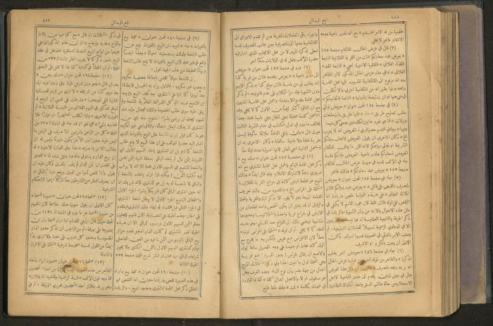 Issues of al-Manar Weekly newspaper, 1900-1901