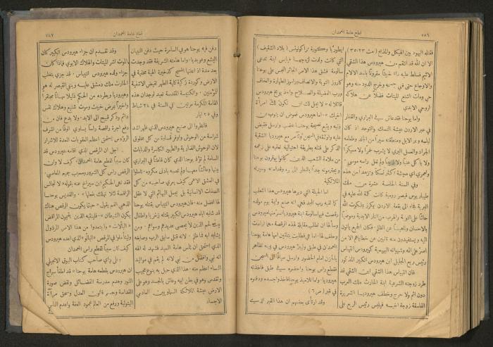 Issues of al-Manar Weekly newspaper, 1900-1901
