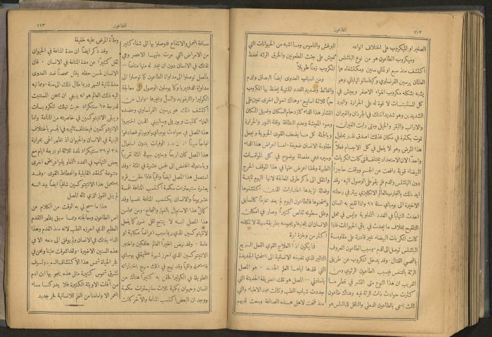 Issues of al-Manar Weekly newspaper, 1900-1901