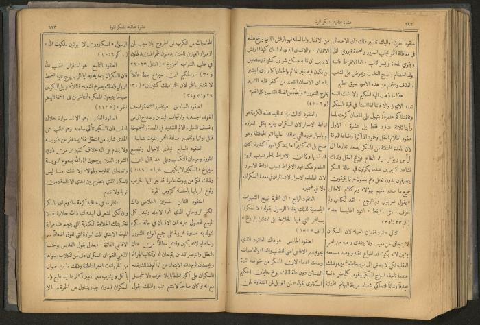 Issues of al-Manar Weekly newspaper, 1900-1901