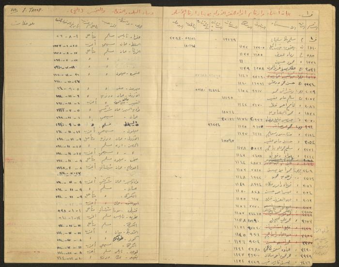 Data Book of Battalion