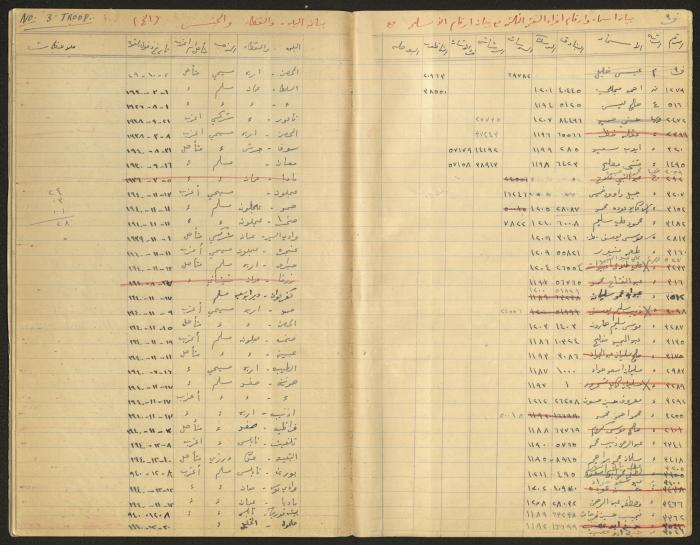 Data Book of Battalion