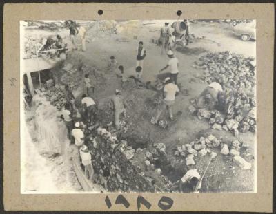 Voluntary Work to Build a Stone Fence in the Village of Kafr Yasif, 1985