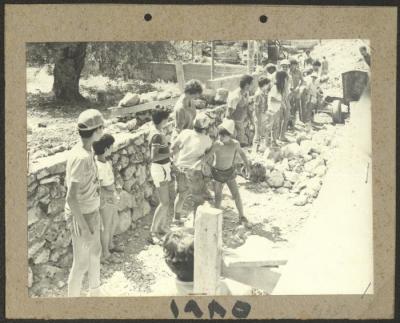 One of the Volunteer Works, 1985 