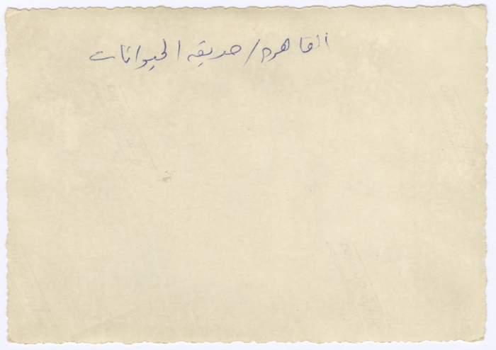 عناية الفاصد في القاهرة
