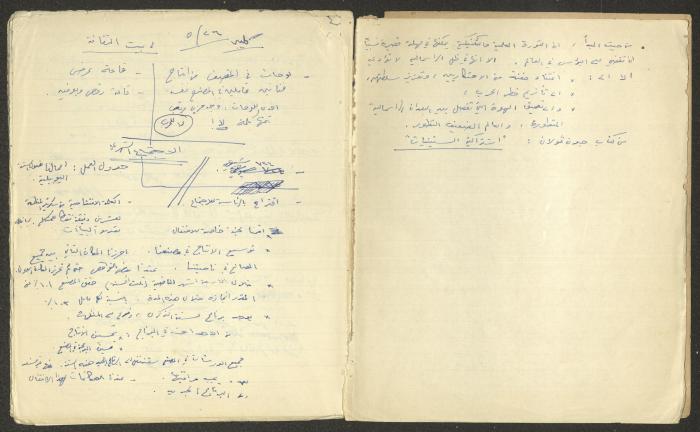 دفتر اقتصاديات لنمر مرقس