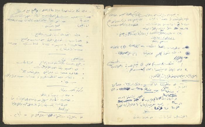 دفتر اقتصاديات لنمر مرقس