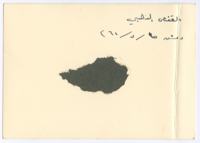 Bassam Shakaa at His House in Damascus, 15 July 1961