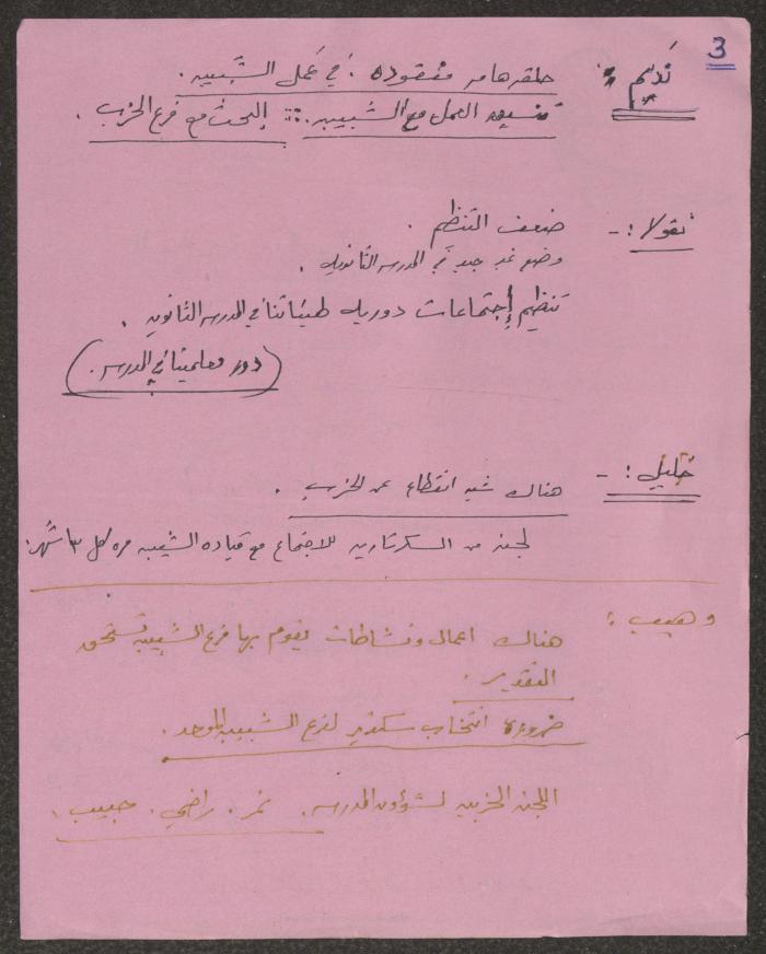 The Minutes of a Hadash Meeting, Kafr Yasif 