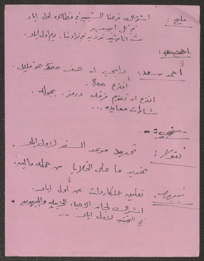 The Minutes of a Hadash Meeting, Kafr Yasif 