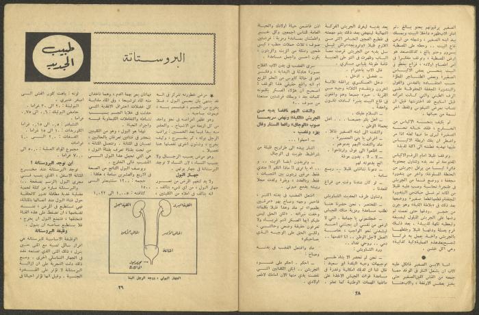 العدد الحادي عشر من مجلة الجديد، تشرين الثاني 1963