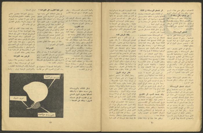 العدد الحادي عشر من مجلة الجديد، تشرين الثاني 1963