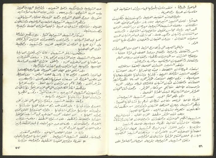 Statement of the Acre District Committee for the Sixth Congress, Submitted to the Israeli Communist Party, November 1981