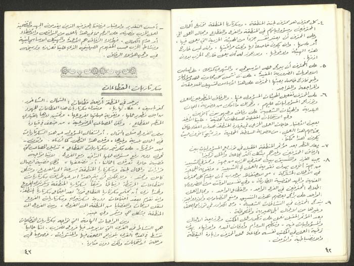 Statement of the Acre District Committee for the Sixth Congress, Submitted to the Israeli Communist Party, November 1981